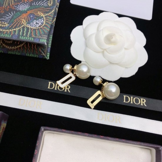 Secured 2022 DIOR Dior Earrings Secured 2022 DIOR Dior Earrings