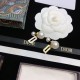 Secured 2022 DIOR Dior Earrings Secured 2022 DIOR Dior Earrings