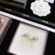 Secured 2022 DIOR Dior Earrings Secured 2022 DIOR Dior Earrings