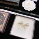 Secured 2022 DIOR Dior Earrings Secured 2022 DIOR Dior Earrings