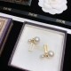 Secured 2022 DIOR Dior Earrings Secured 2022 DIOR Dior Earrings