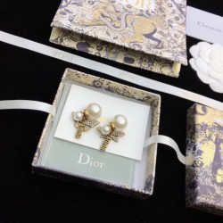 Fashionable presence 2022 DIOR Dior earrings
