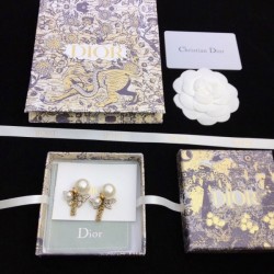 Fashionable presence 2022 DIOR Dior earrings