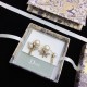 Fashionable presence 2022 DIOR Dior earrings Fashionable presence 2022 DIOR Dior earrings