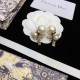 Fashionable presence 2022 DIOR Dior earrings Fashionable presence 2022 DIOR Dior earrings