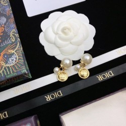 Smart impression 2022 DIOR Dior earrings
