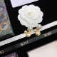 Smart impression 2022 DIOR Dior earrings Smart impression 2022 DIOR Dior earrings