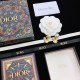 Smart impression 2022 DIOR Dior earrings Smart impression 2022 DIOR Dior earrings