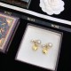 Smart impression 2022 DIOR Dior earrings Smart impression 2022 DIOR Dior earrings