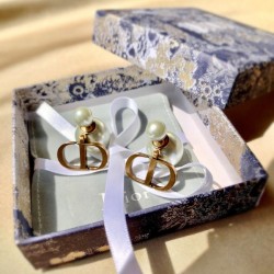 Classic silhouette 2022 DIOR Dior earrings