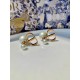 Classic silhouette 2022 DIOR Dior earrings Classic silhouette 2022 DIOR Dior earrings