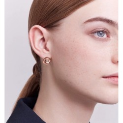 Soft texture 2022 DIOR Dior earrings