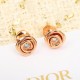 Soft texture 2022 DIOR Dior earrings Soft texture 2022 DIOR Dior earrings