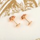 Soft texture 2022 DIOR Dior earrings Soft texture 2022 DIOR Dior earrings