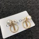 People casual style 2022 DIOR Dior earrings People casual style 2022 DIOR Dior earrings