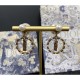 People casual style 2022 DIOR Dior earrings People casual style 2022 DIOR Dior earrings