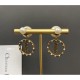 People casual style 2022 DIOR Dior earrings People casual style 2022 DIOR Dior earrings