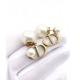 This season trend 2022 DIOR Dior earrings This season trend 2022 DIOR Dior earrings