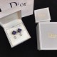 Fashionable impression 2022 DIOR Dior earrings Fashionable impression 2022 DIOR Dior earrings