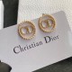 Now the hottest brand 2022 DIOR Dior earrings Now the hottest brand 2022 DIOR Dior earrings