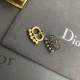 Individual brand 2022 DIOR Dior earrings Individual brand 2022 DIOR Dior earrings