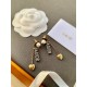 HOT new release 2022 DIOR Dior earrings HOT new release 2022 DIOR Dior earrings