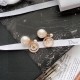 The latest deals 2022 DIOR Dior earrings The latest deals 2022 DIOR Dior earrings