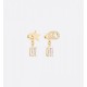 Great 2022 DIOR Dior earrings Great 2022 DIOR Dior earrings