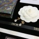Great 2022 DIOR Dior earrings Great 2022 DIOR Dior earrings