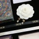Great 2022 DIOR Dior earrings Great 2022 DIOR Dior earrings