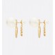 New product 2022 DIOR Dior earrings this term New product 2022 DIOR Dior earrings this term