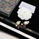 Cheapest popular item 2022 DIOR Dior earrings Cheapest popular item 2022 DIOR Dior earrings