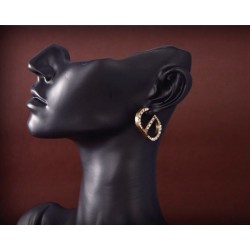 Chic atmosphere 2022 DIOR Dior earrings