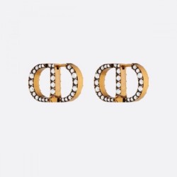 Chic atmosphere 2022 DIOR Dior earrings