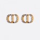 Chic atmosphere 2022 DIOR Dior earrings Chic atmosphere 2022 DIOR Dior earrings
