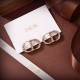 Chic atmosphere 2022 DIOR Dior earrings Chic atmosphere 2022 DIOR Dior earrings