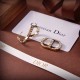 Chic atmosphere 2022 DIOR Dior earrings Chic atmosphere 2022 DIOR Dior earrings