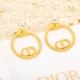 Autumn/Winter trendy item DIOR Dior 2022AW Earrings Autumn/Winter trendy item DIOR Dior 2022AW Earrings