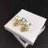 Relaxed DIOR Dior 2022AW Earrings