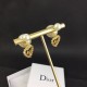Relaxed DIOR Dior 2022AW Earrings Relaxed DIOR Dior 2022AW Earrings