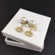 There is a bright atmosphere DIOR Dior 2022AW earrings There is a bright atmosphere DIOR Dior 2022AW earrings