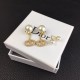 There is a bright atmosphere DIOR Dior 2022AW earrings There is a bright atmosphere DIOR Dior 2022AW earrings
