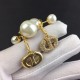 There is a bright atmosphere DIOR Dior 2022AW earrings There is a bright atmosphere DIOR Dior 2022AW earrings