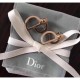 Sold out required ☆ As soon as possible DIOR Dior 2022AW Earrings Sold out required ☆ As soon as possible DIOR Dior 2022AW Earrings