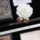 Latest popular topic boiling DIOR Dior 2022AW earrings Latest popular topic boiling DIOR Dior 2022AW earrings