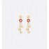 Popular sale 100% new article DIOR Dior 2022AW earrings