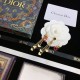 Popular sale 100% new article DIOR Dior 2022AW earrings Popular sale 100% new article DIOR Dior 2022AW earrings