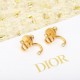 Overseas extreme popularity item DIOR Dior 2022AW earrings Overseas extreme popularity item DIOR Dior 2022AW earrings