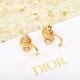 Overseas extreme popularity item DIOR Dior 2022AW earrings Overseas extreme popularity item DIOR Dior 2022AW earrings