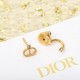 Overseas extreme popularity item DIOR Dior 2022AW earrings Overseas extreme popularity item DIOR Dior 2022AW earrings